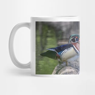 Wood duck perched on a log Mug